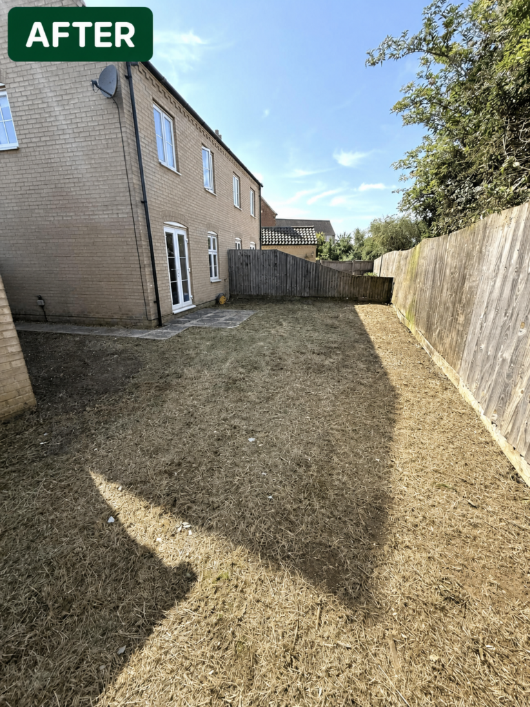 Cleared and tidy back garden after garden clearance in Ely
