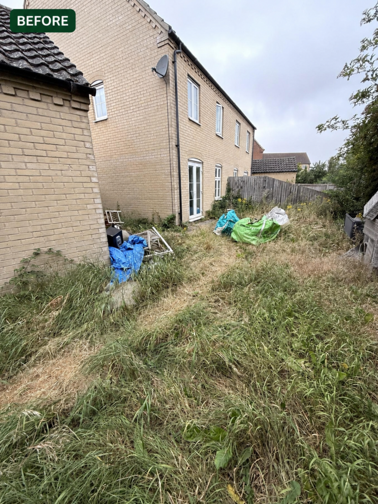 Overgrown back garden before garden clearance in Ely