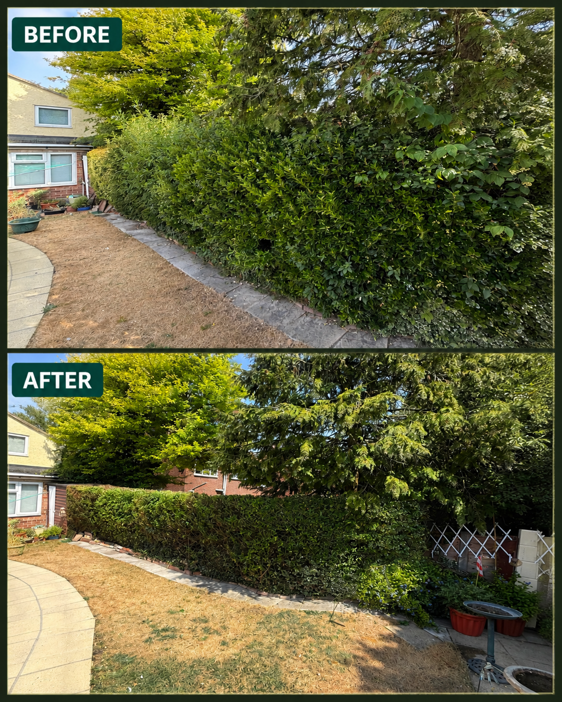 Before and after image of hedge trimming in Ely