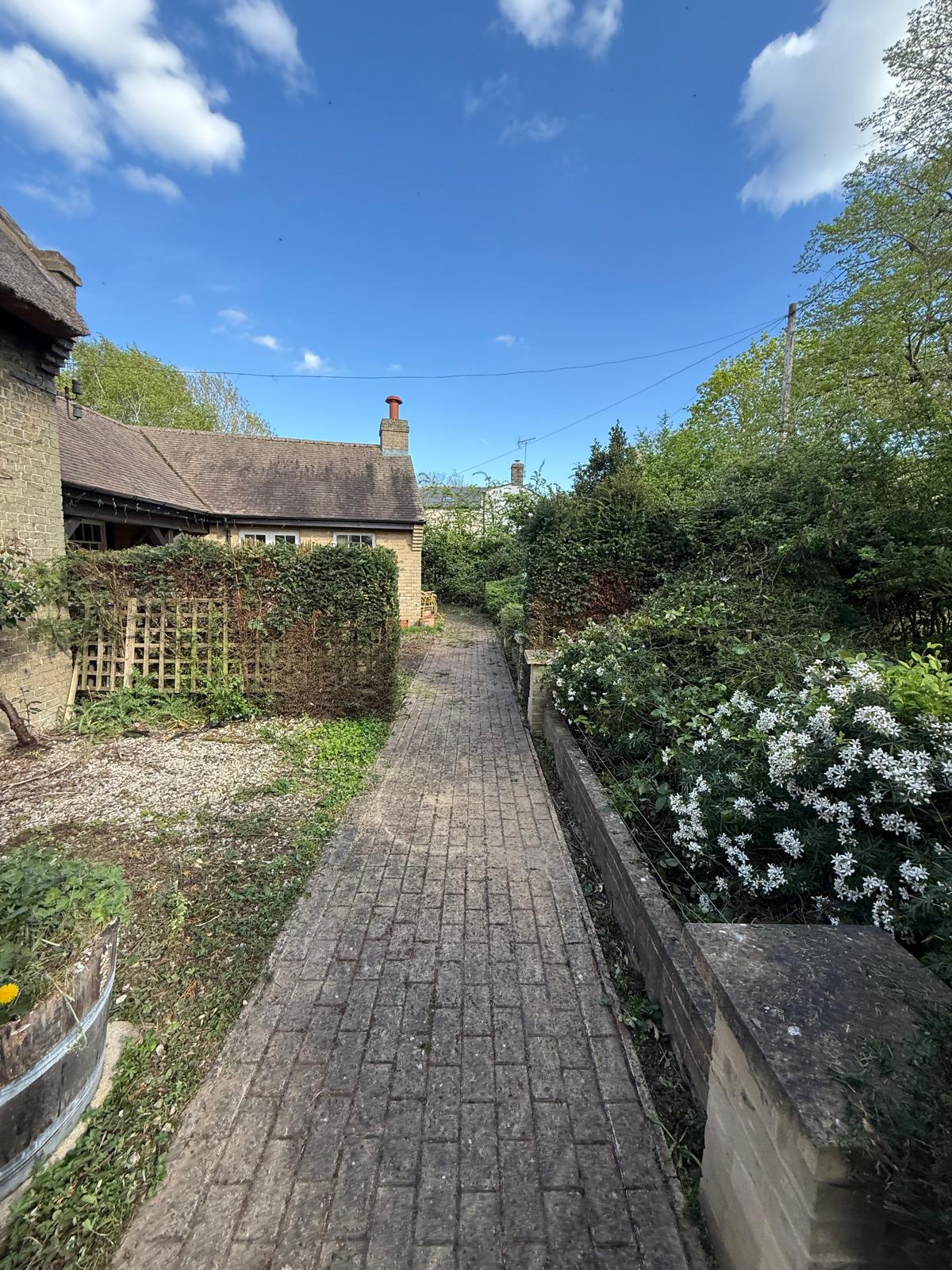 Garden path with neatly trimmed hedges and paths cleared