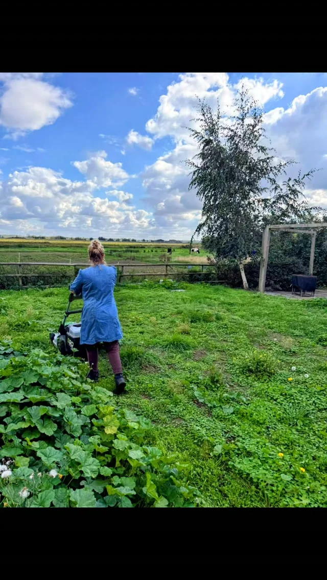 What a beautiful September it has been! We’ve been making the most of the sunshine, getting stuck into gardens and preparing them for the changing season ahead. 🍂🍁

There’s something very special about this time of year in the garden, it's Gem's favourite season! ❤️ Watching the seasons slowly shift, the changing light, the first signs of autumn appearing and the wildlife making the most of those last warm days. 🌱🐝🍁

We’ve been SO busy lately that we’ve built up a little backlog of happy clients and lovely gardens to share, so here are a few snippets from September…before and afters to follow!

Thank you to all of our wonderful new clients for welcoming us into your gardens and trusting us with your outdoor spaces. 

Here’s to the changing seasons, autumn garden jobs and all the Good Garden Folk we continue to meet ❤️ 🍂🌿

#elygardeners #visitely #ely #horticulture #dowhatmakesyouhappy