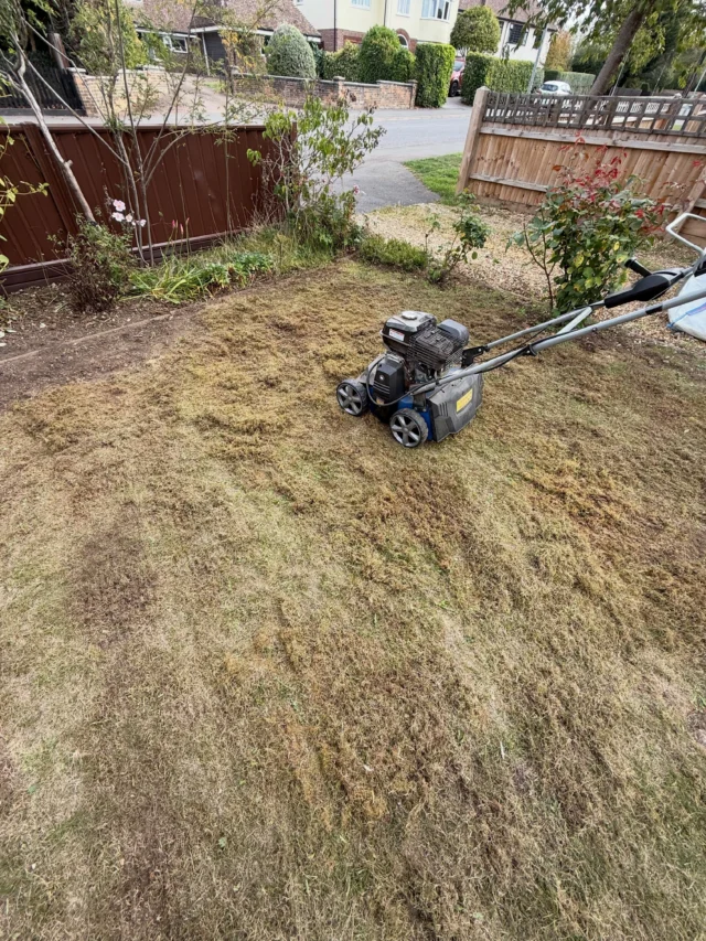 We did a lawn renovation today 🌱

Safe to say this one had a serious amount of thatch and moss hiding in it! We gave it a thorough scarify, cleared away all the debris, then top dressed, fertilised and reseeded.

Amazing how much comes out of a lawn once you start. Looking forward to seeing this one green up again over the next few weeks.